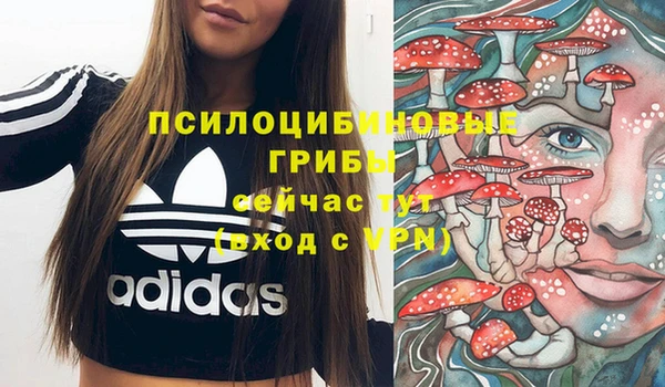 крисы Верхнеуральск