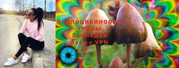 дживик Сатка